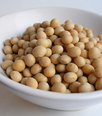 黃豆。（圖片來源： www.aziatische-ingredienten.nl）