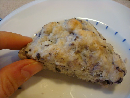 Scookie: Scone Cookie from Mini Empire Bakery