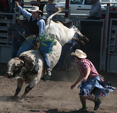 Rodeo 