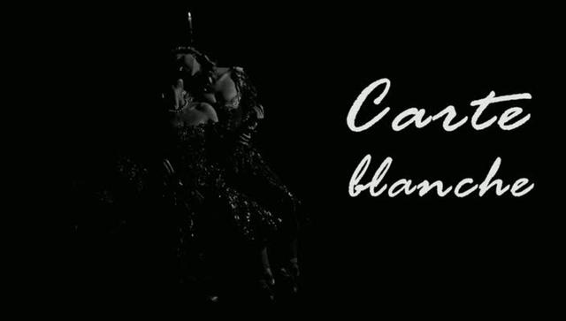 carte blanche home meaning of carte blanche examples of carte blanche ...