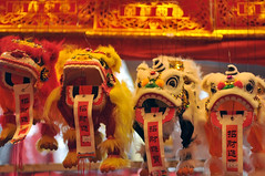 Chinese New Year (春节) 2010
