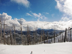 Mt. Lemmon - Winter 2010