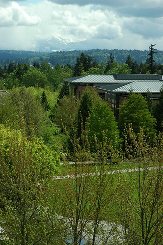 Redwest campus, Microsoft Building Red West D, view from Red West A, trees, clouds, Redmond, Washington, USA by Wonderlane