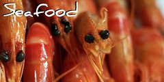 Food: Seafood
