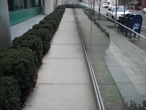 Perspective of the Sidewalk and the Glass