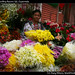 Woman selling flowers (a), Guatemala