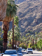 Palm Springs 2010