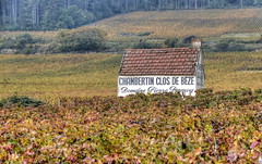 Bourgogne 2010