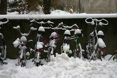 Bicicletas bajo la nieve