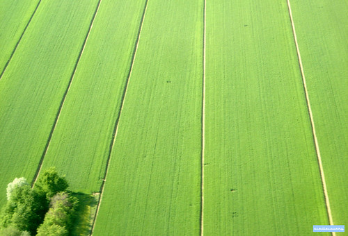 Italian countryside, aerial photograph