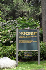 Stonehurst