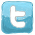 Twitter Logo Chicklet