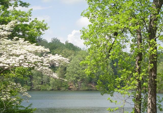 The scenic little Fairy Stone Lake in the Spring  from the cabin area