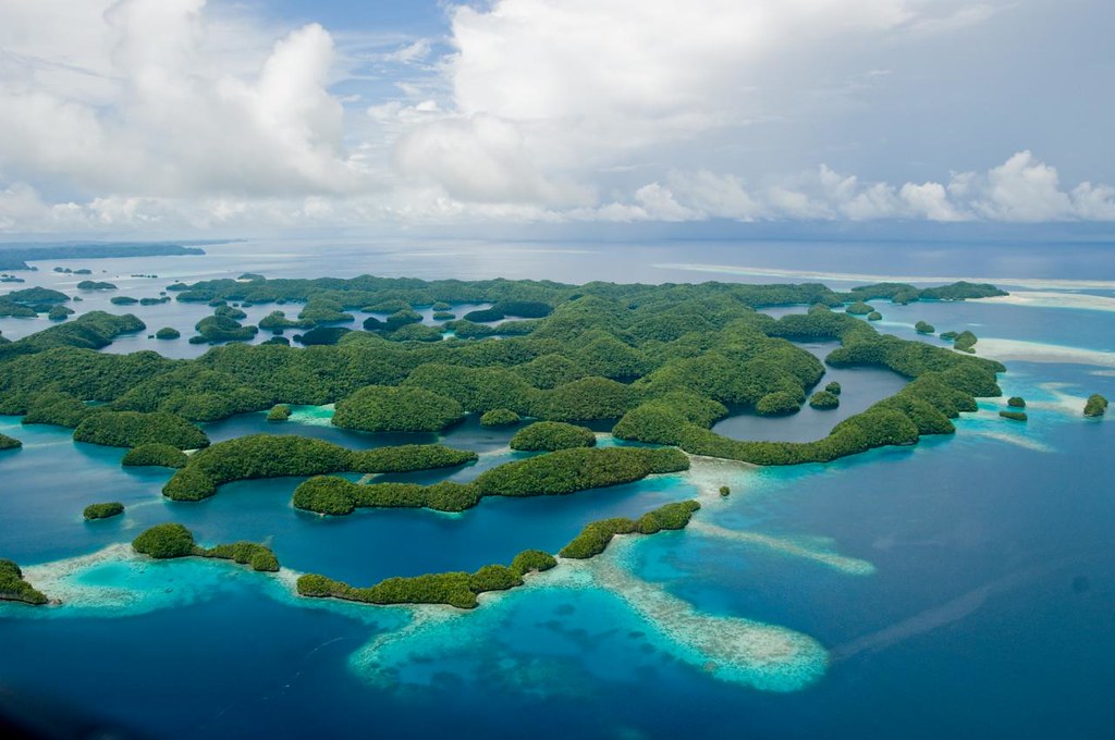 buceo en Palau
