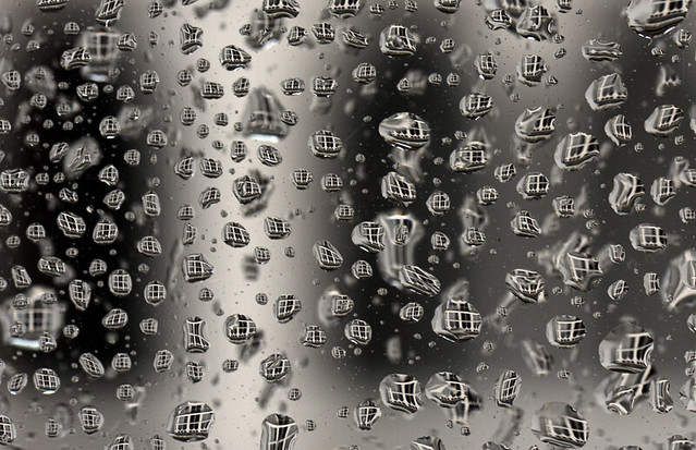 Rain drops windows face water macro  micro / 6960DSC.Foto: Rafael G. Riancho