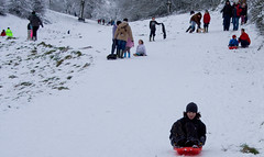 Tobogganing on Doverow Hill