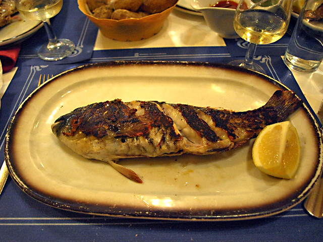 Parrot fish - Favourite Fish in Tenerife
