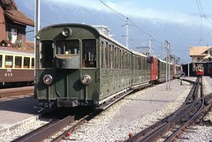 Trains du Schynige Platte (Suisse)