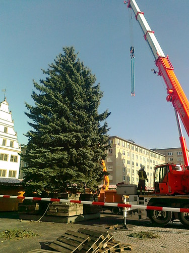 aufstellen des Weihnachtsbaumes in Leipzig by PercyGermany™