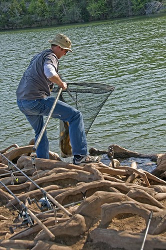 carp fishing austin texas