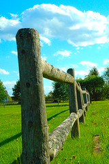 Weathered Wooden Fence