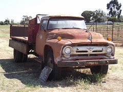 Rusty or Dumped Fords