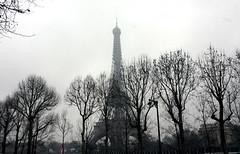 Paris winter, February 2010