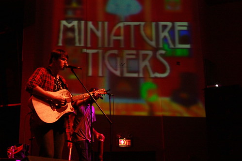 Miniature Tigers