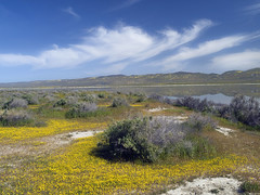Soda Lake in Carrizo Valley, California 