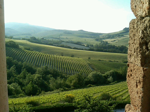 Orvieto: view from the winery
