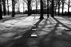 German Military Cemeteries in Western Flanders