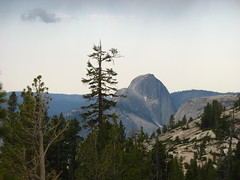 Yosemite June 2006