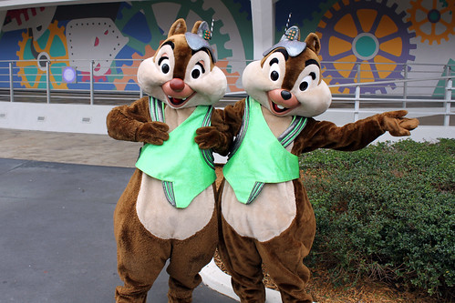 Meeting Space Chip and Dale