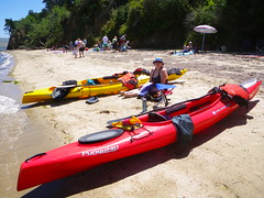 Tomales Bay Kayaking