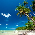 White sand beach shaded by palm trees near El Nido, Palawan