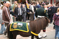 Armed Forces day Stirling