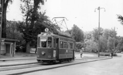 Trams de Genève ligne 5 (ligne disparue)