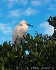 Florida Keys 2010