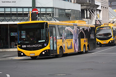 GO Wellington Diesel Buses