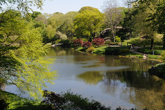 Central Park, Spring 2010