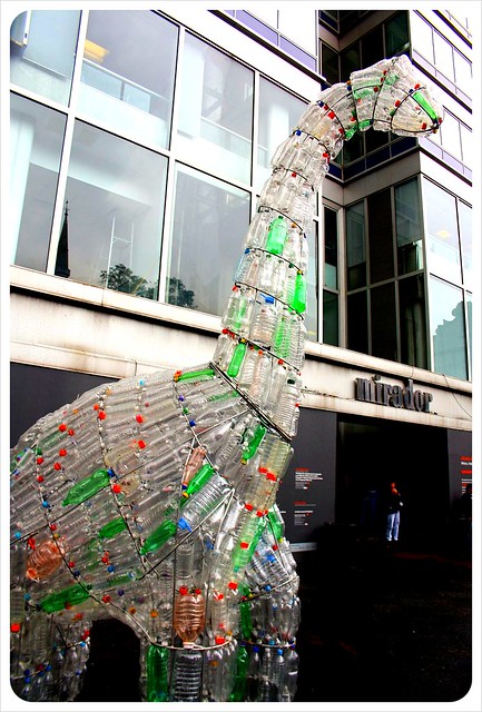plastic bottles art 