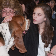 Westminster Dog Show 2010