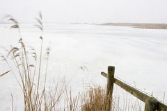 Lauwersmeer in winter