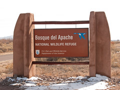 Bosque del Apache National Wildlife Preserve, New Mexico