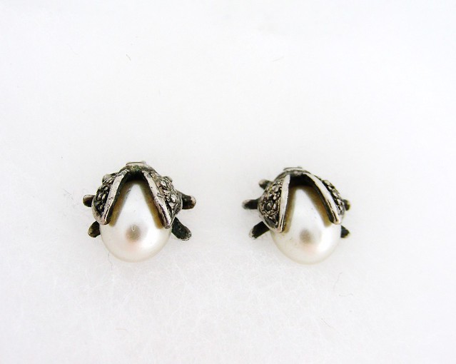 Ladybug Earrings on Ladybug Earrings   Flickr   Photo Sharing