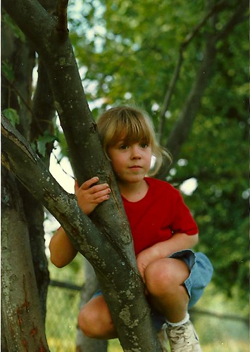 Tree K 1997