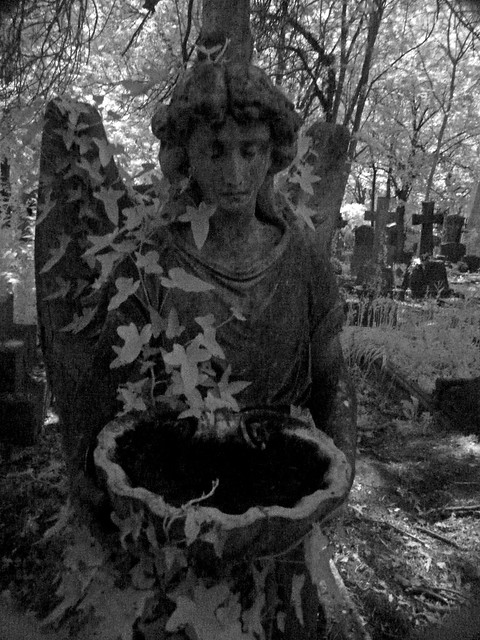 Angel statue in Highgate Cemetery