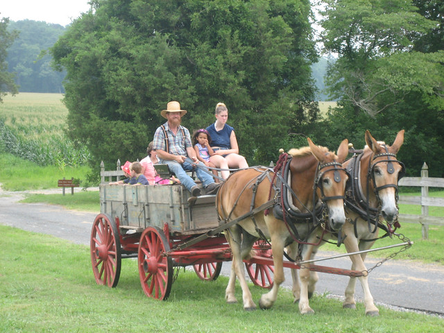Wagon Rides are fun for people of all ages!