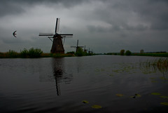 Low Countries 2010