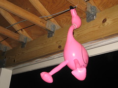 05/2010; Flamingo Memorial Day